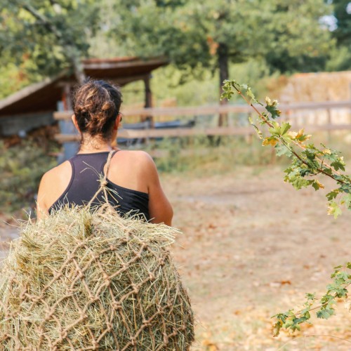 Rete per fieno in corda naturale...