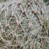 Rete per fieno in corda naturale contro l'ingestione di plastica