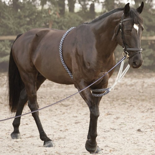 Longeerhulp Performance