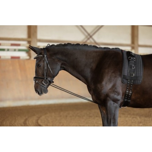 Bungie enrenement long éducatif... Bungie enrenement long éducatif...