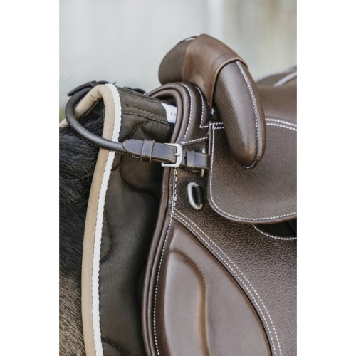 Selle bardette Guy Cantin Évolution...