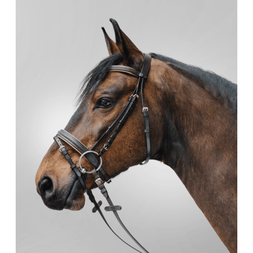 Trense Diamond Star Waldhausen Trense Diamond Star Waldhausen