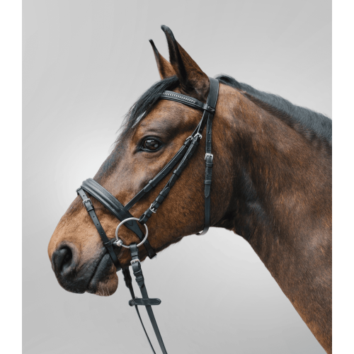 Briglia Diamond Star Waldhausen Briglia Diamond Star Waldhausen