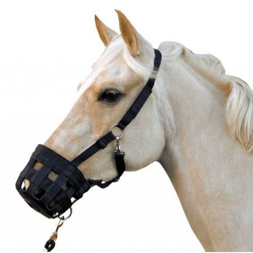 Capezza con museruola Capezza con museruola