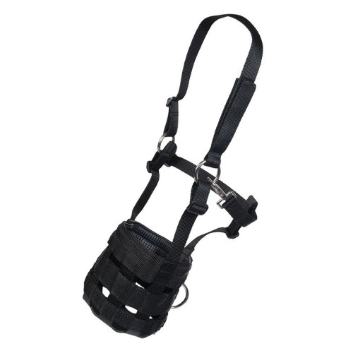 Capezza con museruola Capezza con museruola