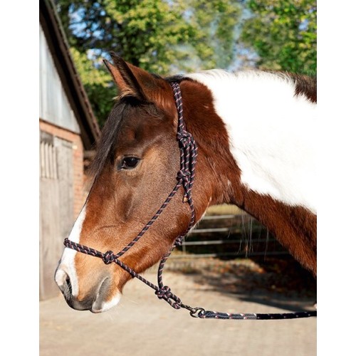 Set de cabestro y cordón nodal Trust Set de cabestro y cordón nodal Trust