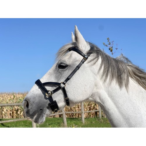 Sidepull Leder No More TdeT