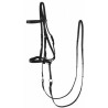 Bridon Bitless cuir TdeT