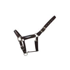 Licol Luxe TDET doublé polaire réfléchissant 2