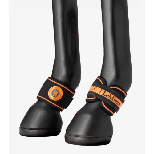 Fesselträgerschutz Magno LeMieux