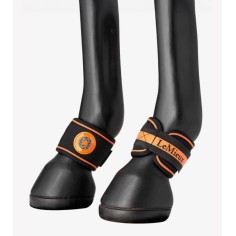 Fesselträgerschutz Magno LeMieux 2