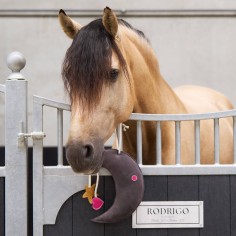 Spielzeug für Pferde in Boxen Buddy Moony