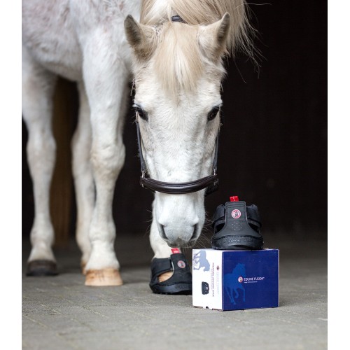 Equine Fusion® trekking ipposandali