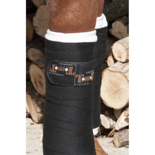 Banda de descanso TdeT