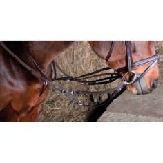 Riendas Howlett TdeT