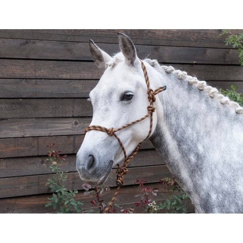 Ethologisches Halfter + Longe TdeT Ethologisches Halfter + Longe TdeT