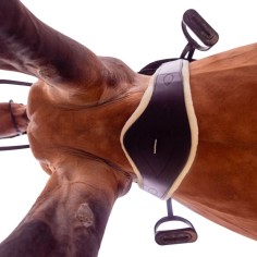 Cinturino in pelle di pecora rimovibile TdeT