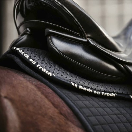 Amortiguador BACK ON TRACK