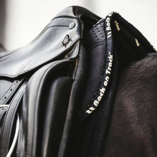 BACK ON TRACK schokdemper