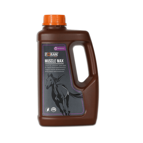 MUSCLE MAX Solution riche en...