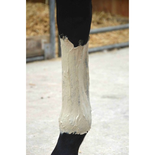 Tonerdepaste Effort Intense Nutragile