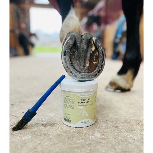 Nutragile Gabelpflege