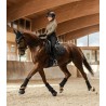 Chabraque Phoenix Waldhausen Poney D