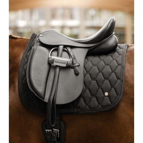 Chabraque Phoenix Waldhausen Poney D