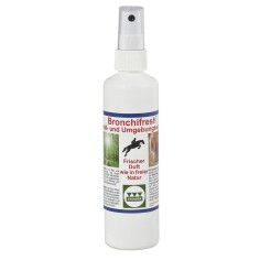 Stassek Reinigungsspray Stall Bronchifresh