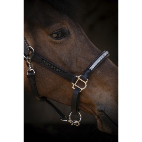 Cabestro Penelope Harmonie