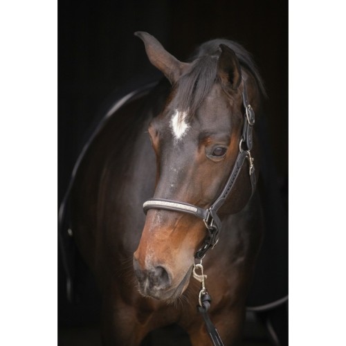 Cabestro Penelope Harmonie