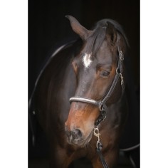 Halfter Penelope Harmonie