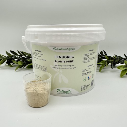 Bockshornklee Nutragile