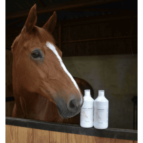 Vitality Immunity Nutragile Liquido