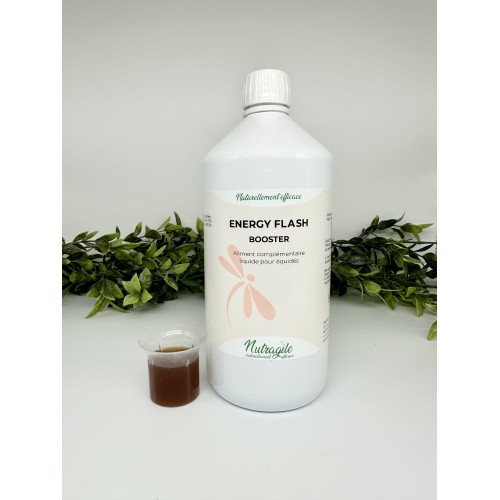 Nutragile Energy Flash - Flüssiger...