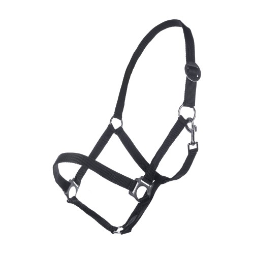 Cavezza classica per cavalli HKM
