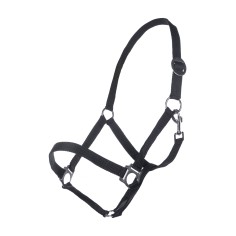 Licol Classic cheval HKM 2