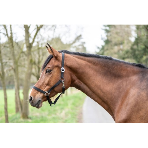 Licol Classic cheval HKM Licol Classic cheval HKM