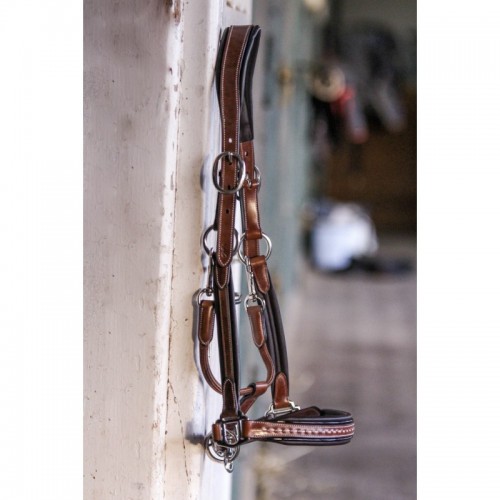 Licol cuir Pénélope point sellier Licol cuir Pénélope point sellier