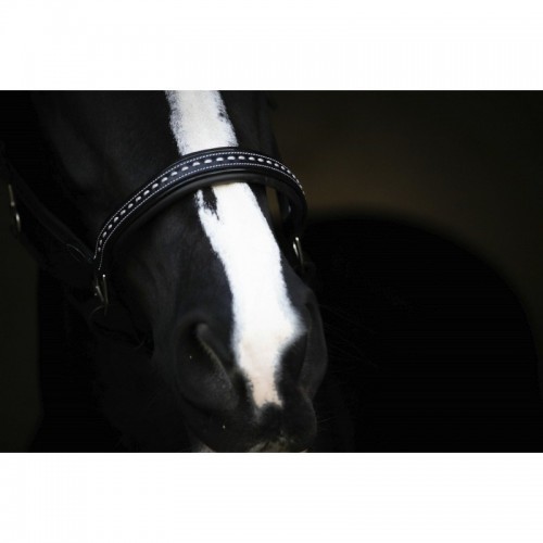 Licol cuir Pénélope point sellier Licol cuir Pénélope point sellier