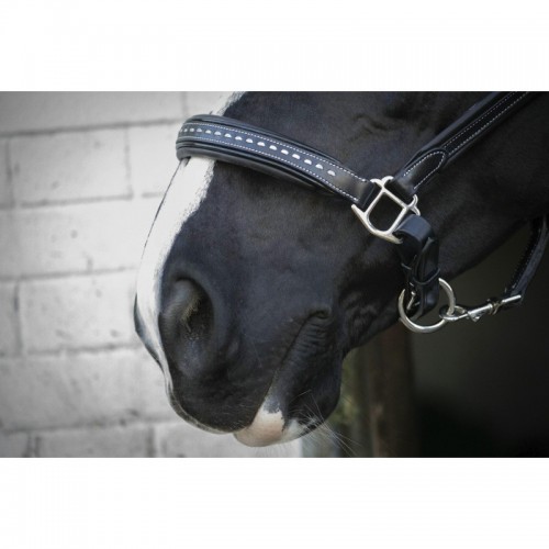 Penelope zadelsteek leren halster