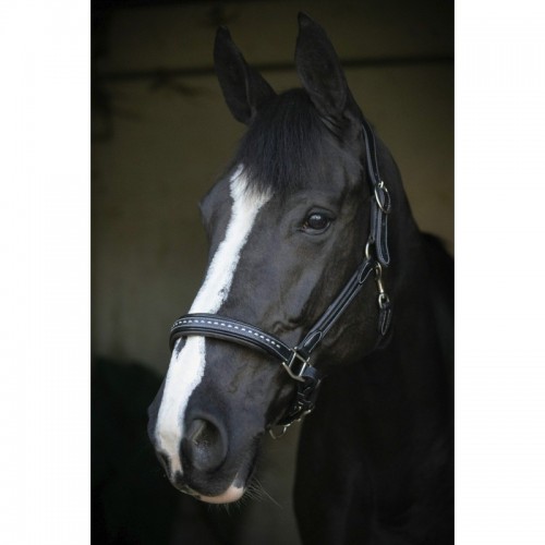 Cabestro Penélope de cuero con pespunte