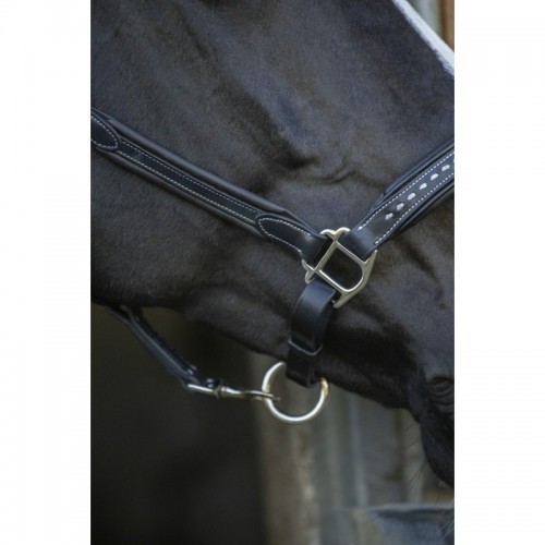 Licol cuir Pénélope point sellier Licol cuir Pénélope point sellier