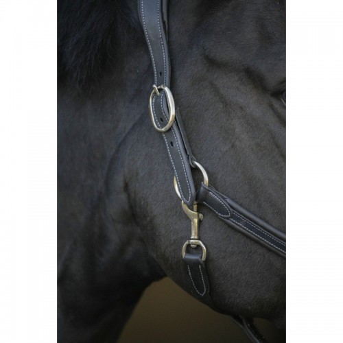 Licol cuir Pénélope point sellier Licol cuir Pénélope point sellier