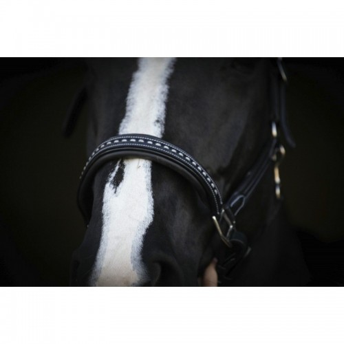 Licol cuir Pénélope point sellier Licol cuir Pénélope point sellier