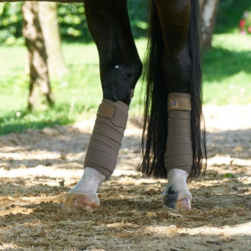 Bandes de polo Zaire Aubenhausen /... Bandes de polo Zaire Aubenhausen /...