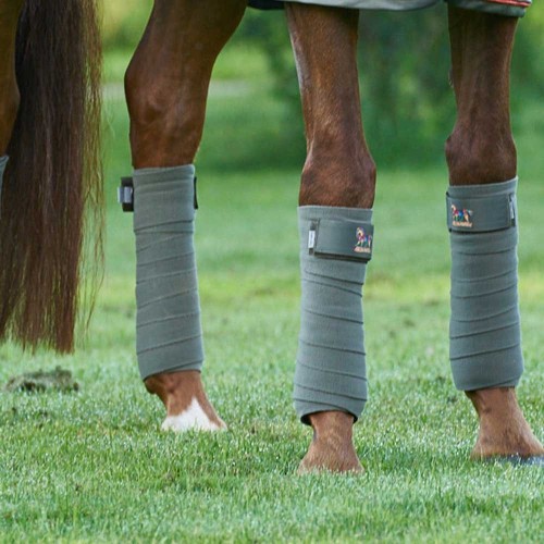 Bandes di polo Aubenhausen Famoso Bandes di polo Aubenhausen Famoso