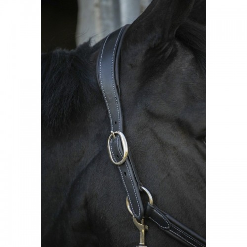 Licol cuir Pénélope point sellier Licol cuir Pénélope point sellier