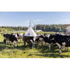 Bremsenfalle TaonX große Fläche 10000 m² 2