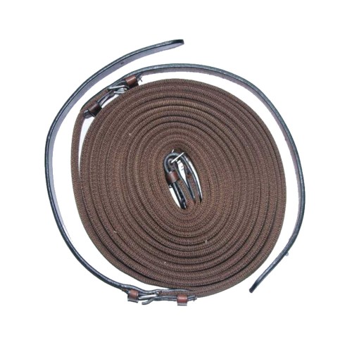 Lange teugels van webbing en EE leer